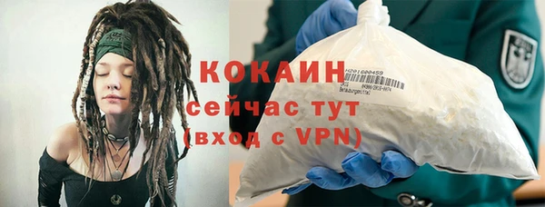 мяу мяу мука Белокуриха