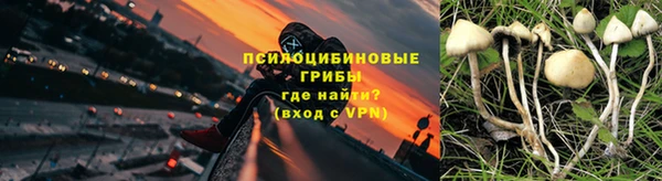 мяу мяу мука Белокуриха