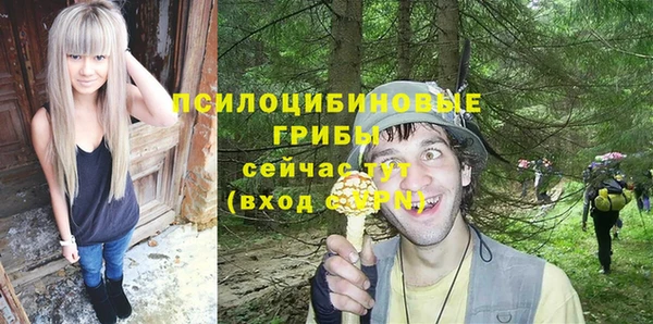 мяу мяу мука Белокуриха